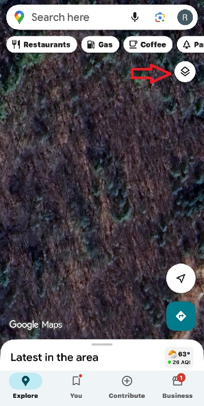 Google Maps Layers Settings